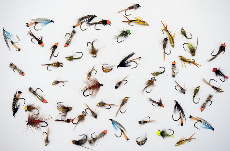 Lajitelma Gillien perhoja