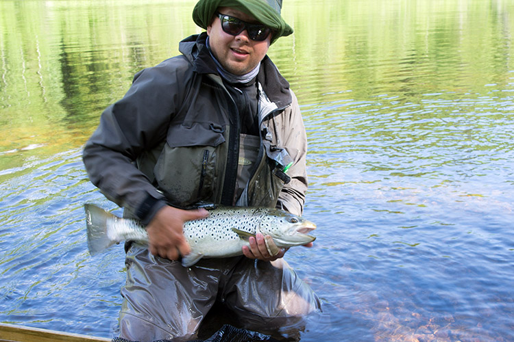 Taimen on haluttu saalis